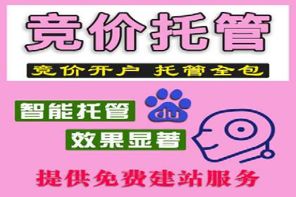 竞价广告投放策略，代运营公司的成功实践